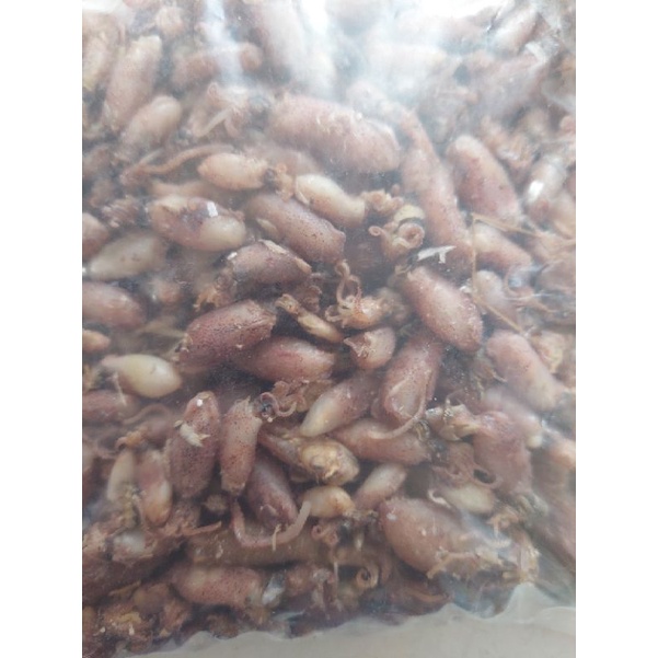 

Baby Cumi Asin 500g