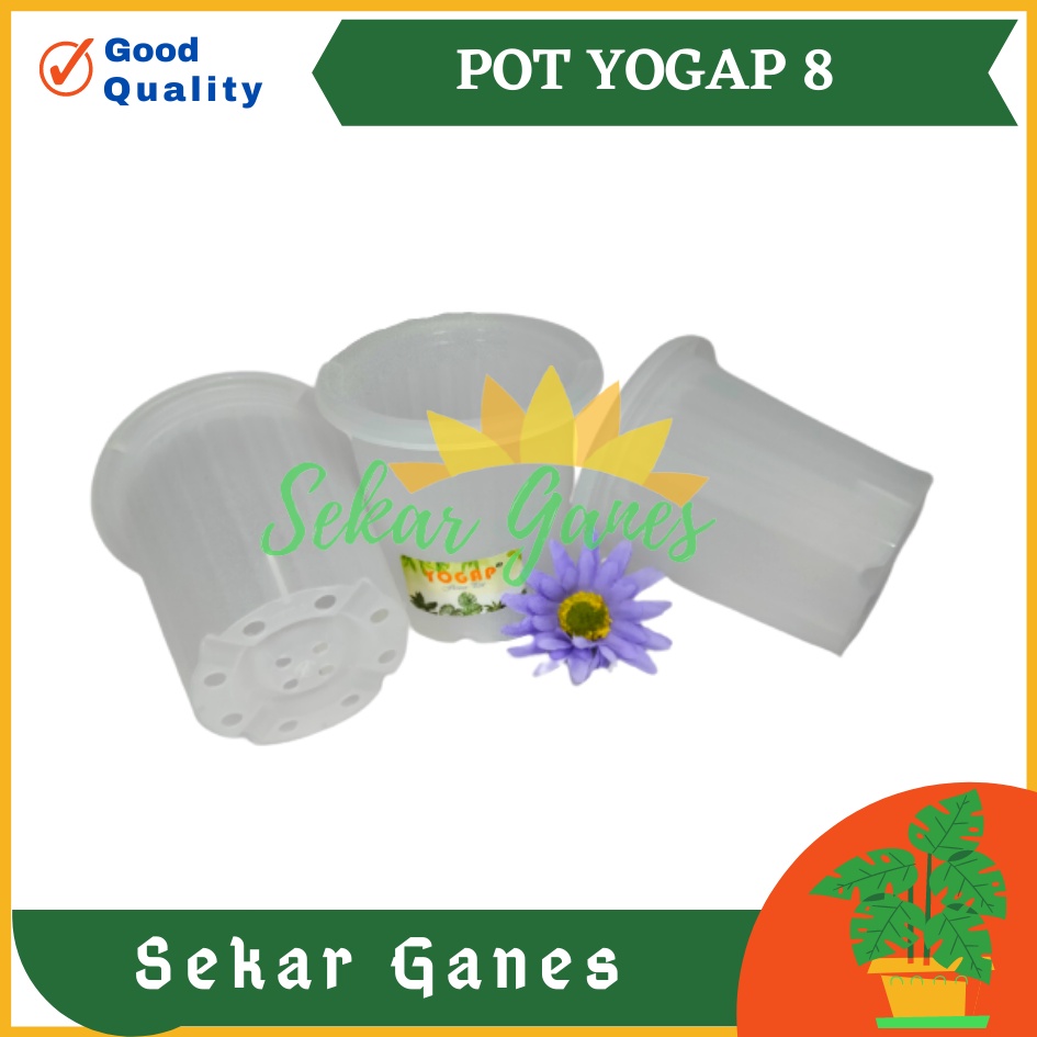 Sekarganes Pot Yogap 8 Bening Pot Yogap 10 13 15 17 18 19 25 30 Pot Yogap Murah