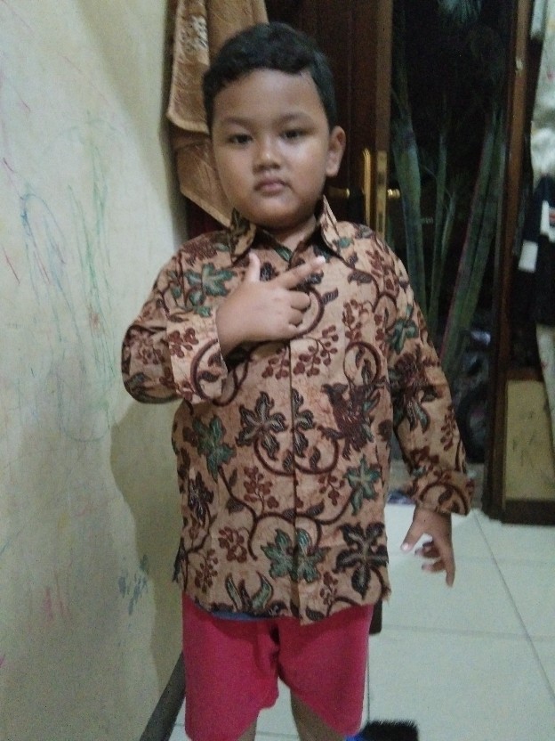 Kemeja Anak Laki-laki Batik Lengan Panjang Pekalongan Usia 2-11 Tahun /kemeja Anak