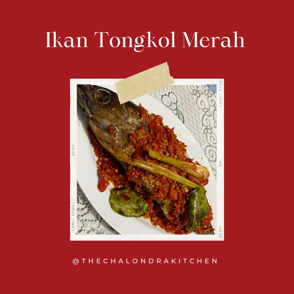

Ikan Tongkol Merah