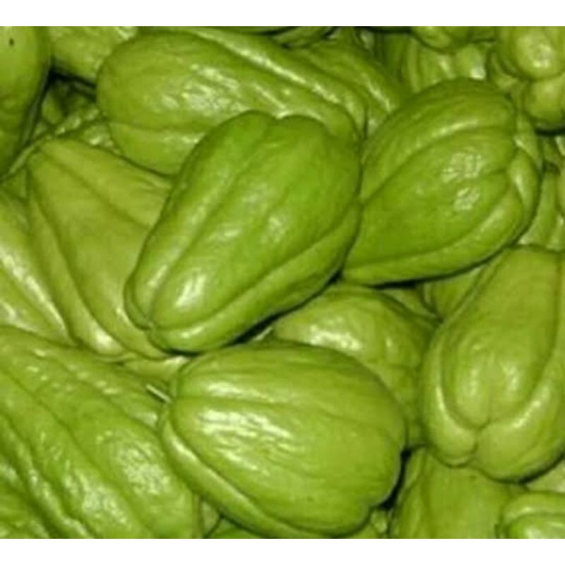

Labu Sayur Segar