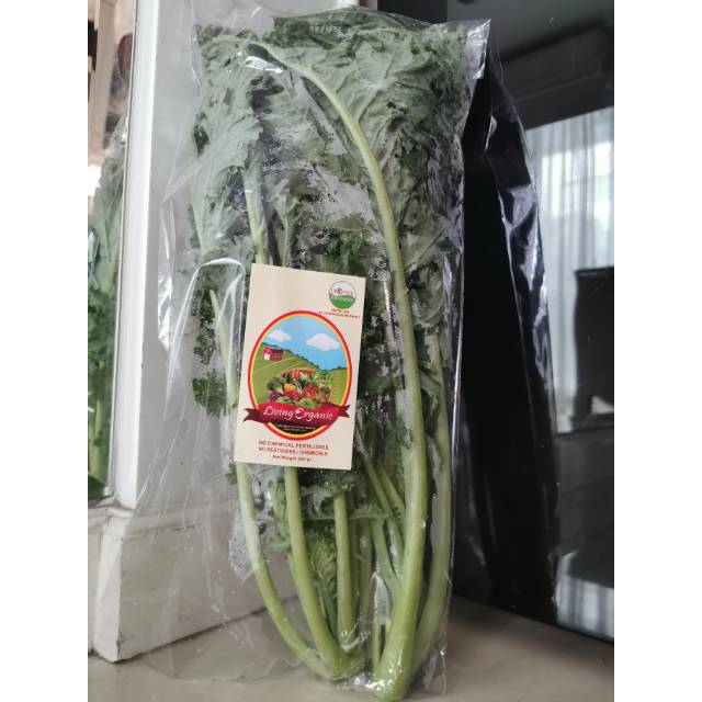 

Kale 300gr sayuran organik