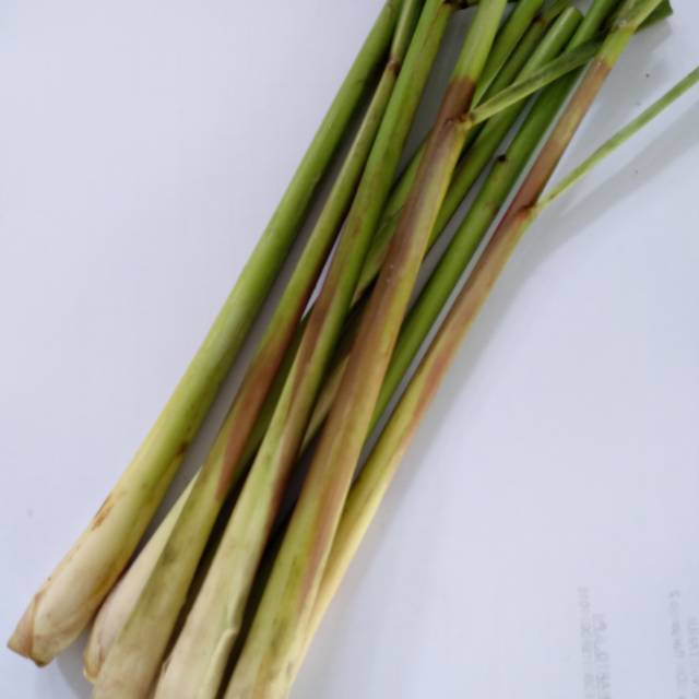 

Batang Sereh segar 500 gram