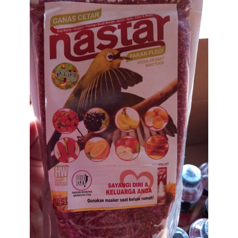 

NASTAR pakan pleci