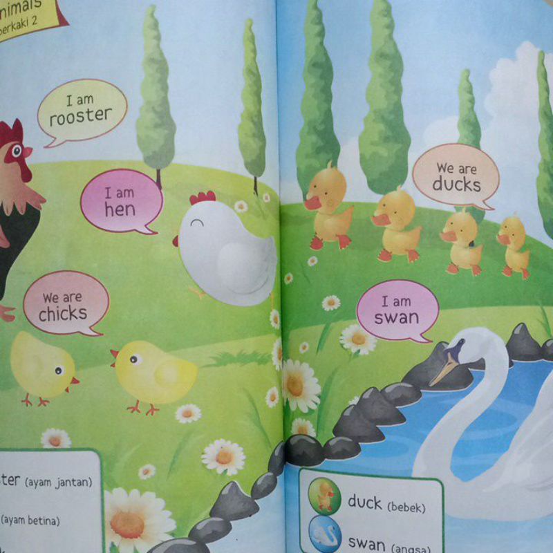 Buku Belajar Berhitung &amp; Mengenal Hewan Dalam Bahasa Inggris untuk Paud dan TK