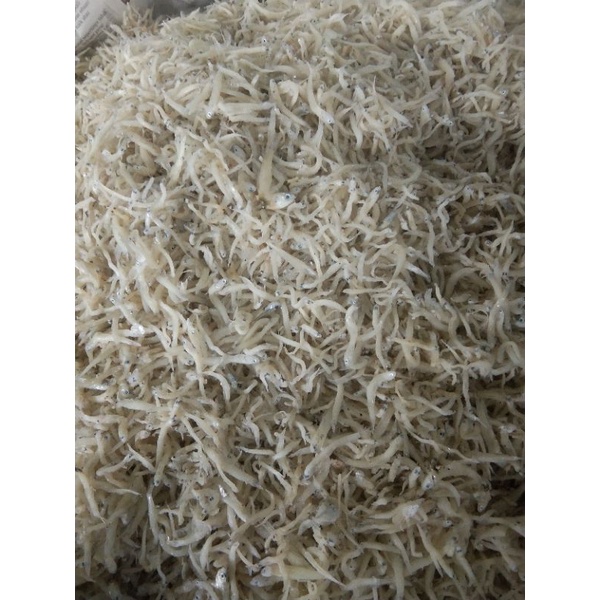 

teri medan/teri nasi