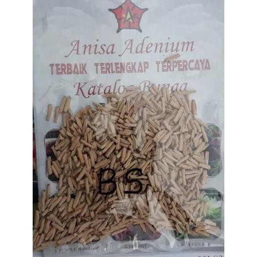 Produk Ready Seeds/Biji/Benih Adenium Black Somalense Isi 10 Biji