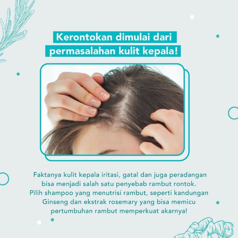 WARDAH Shampoo Hairfall Threatment