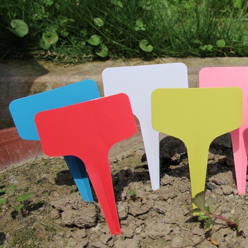

Label Tanaman (Plant Label Tag) Model T Kualitas Tebal – Aneka Warna