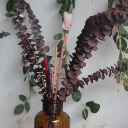 Dried Flower Eucalyptus cinerea / Bunga Kering Import / Preserved