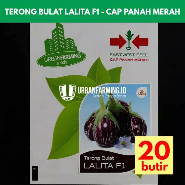 Benih bibit terong bulat lalita f1 cap panah merah (pp)