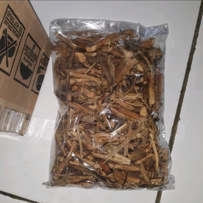 

Terbaik Terbaik Ready akar pinang kering 500 gram
