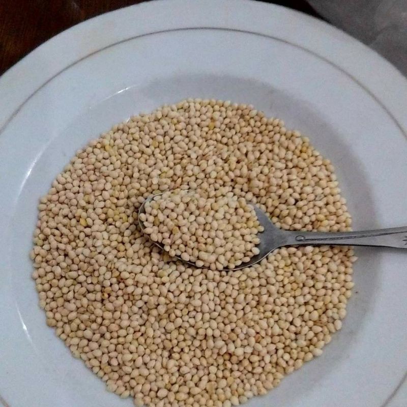 

Biji HerbaL Makasar