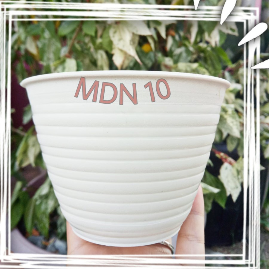 POT BUNGA TANAMAN TAWON MDN PUTIH TEBAL BERBAGAI MACAM UKURAN