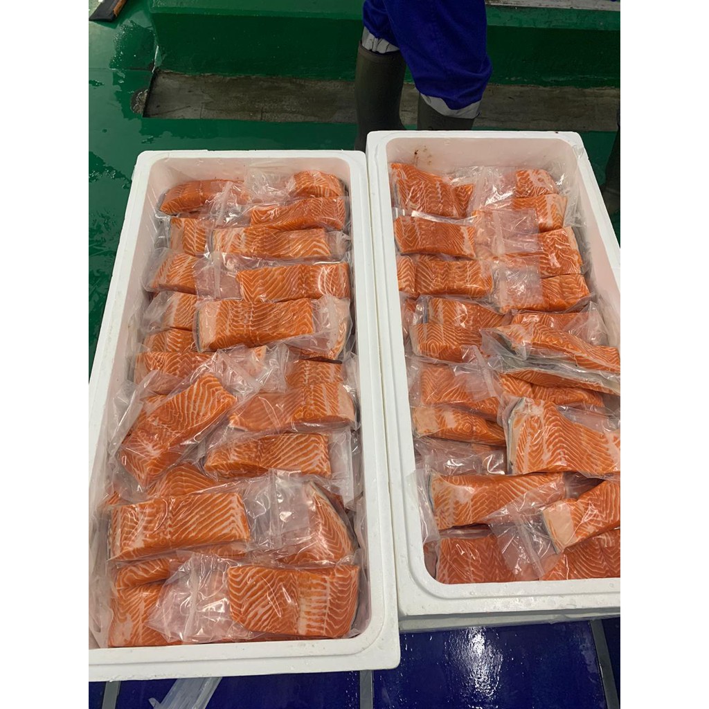 Norwegian Fresh Trout Salmon Fillet 250gr Premium/Fresh Sashimi Grade