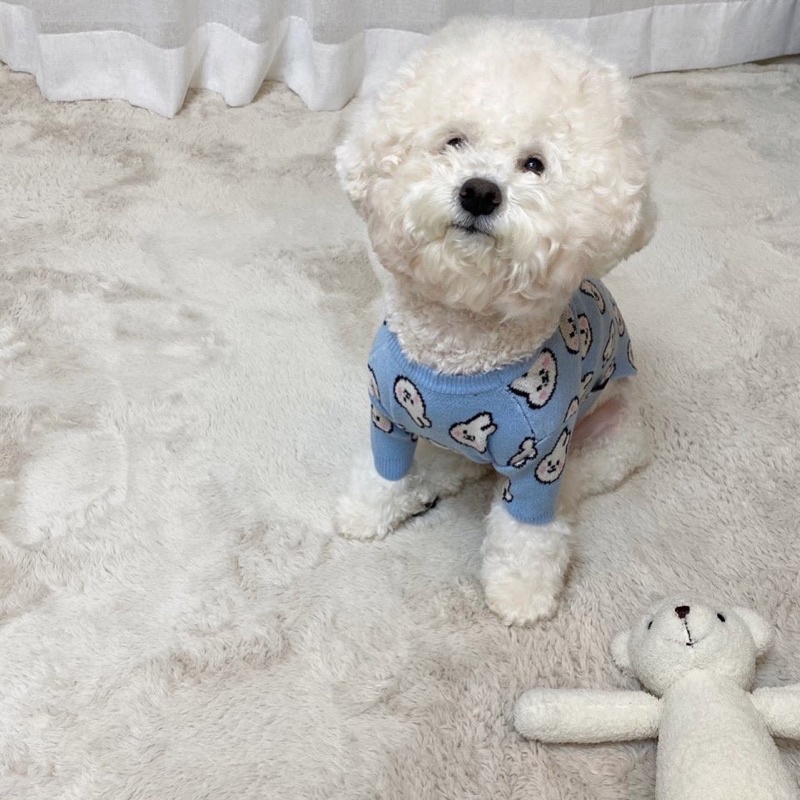 Blue Bunny Knit Baju Rajut Sweater Anjing Kucing Lucu