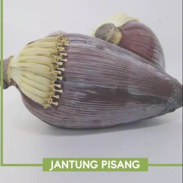 Jantung Pisang / Ontong per Buah