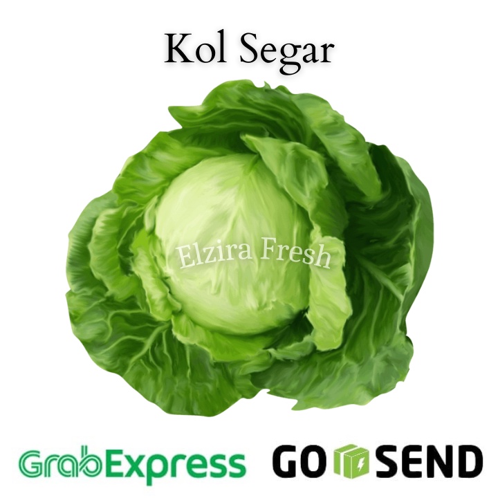 

Kol Segar 250 gr (Elzira Fresh)