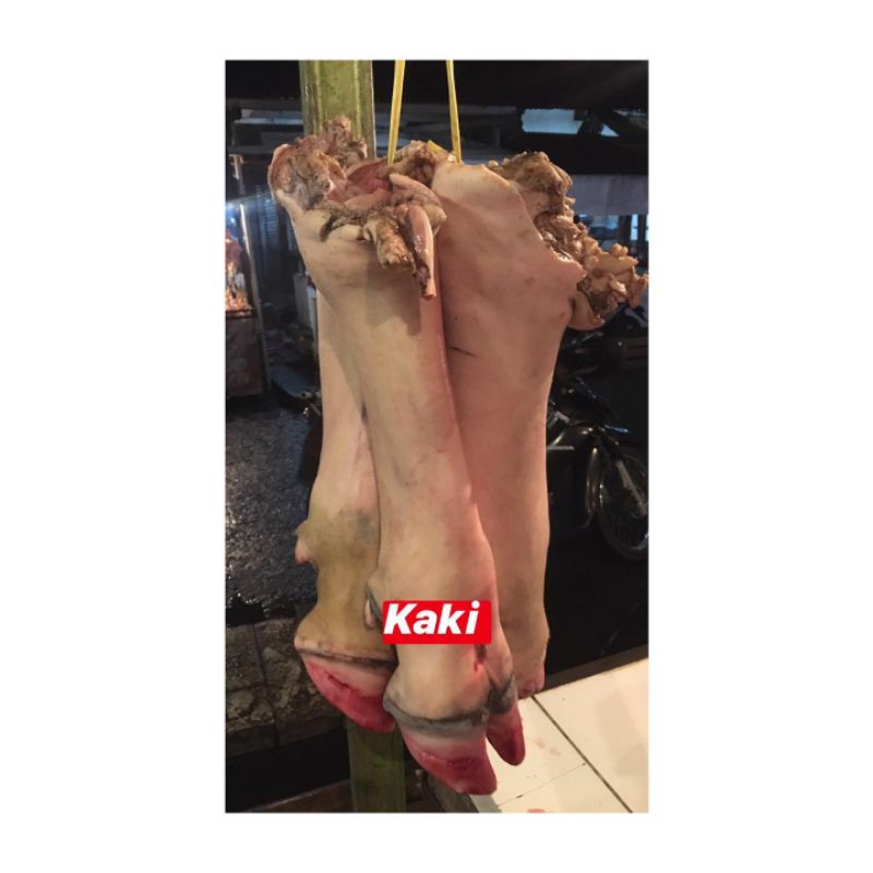 

KAKI SAPI