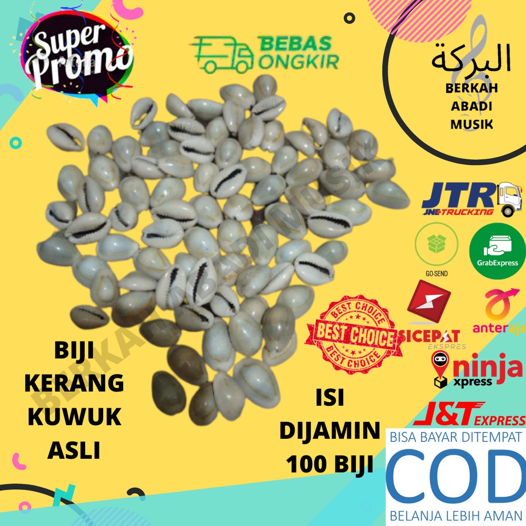 biji congklak isi 100 biji dakon biji congklak biji kuwuk biji kerang biji kerang asli biji congklak