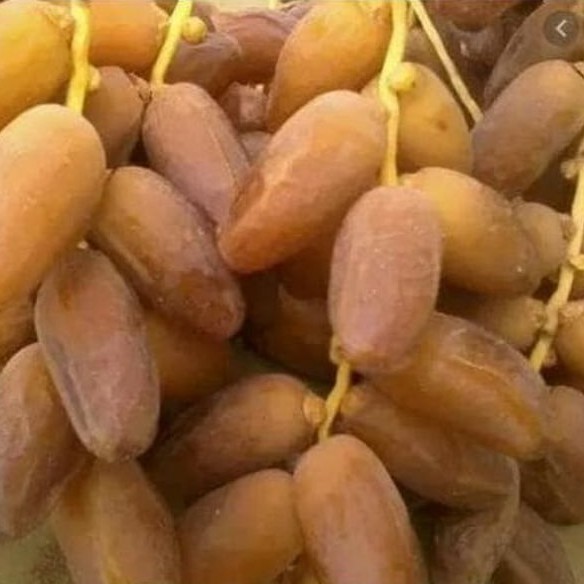 Kurma Tunisia Tangkai Curah 1kg