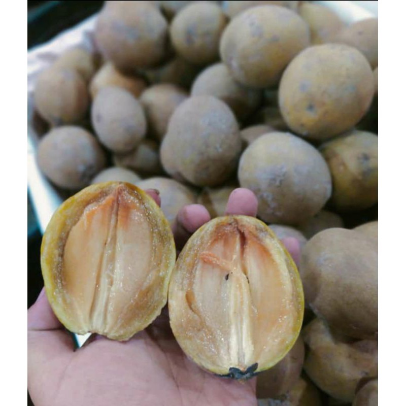 

buah sawo 1kg|buah segar bandung|nuri fruits|buah segar|sawo