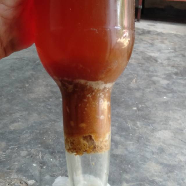 

Madu Liar Asli bukan pakanan Gula jaminan keaslianya