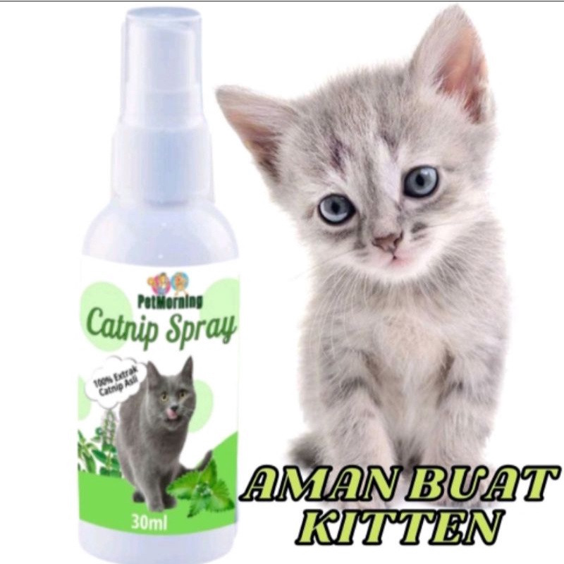 Penghilang Stres Cat Kitten Kucing catnip Spray 60ml