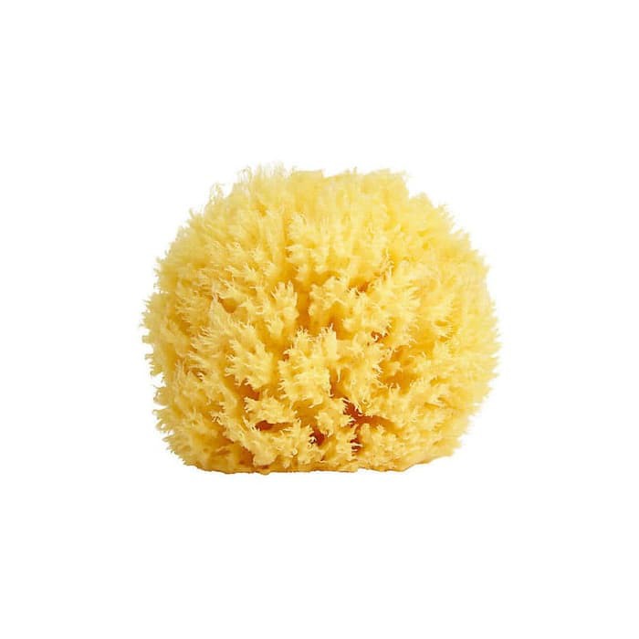 Bellini - Honeycomb Natural Sea Sponge