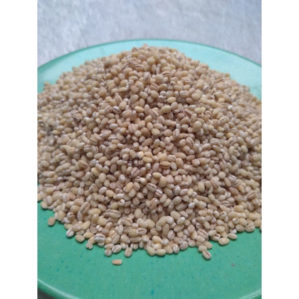 

Jali - jali 1kg Barley Import Holland