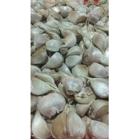 

bawang putih kating kemasan 250gram