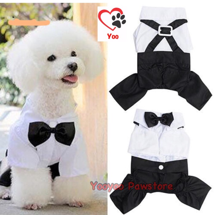 Male Dog Suit - Baju Pesta Anjing Kucing Jantan