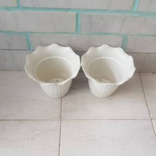  Pot  bunga  putih krem F501 16 T13 5 cm twinpan Shopee 