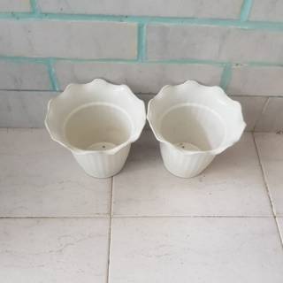  Pot  bunga putih  krem F501 16 T13 5 cm twinpan Shopee  