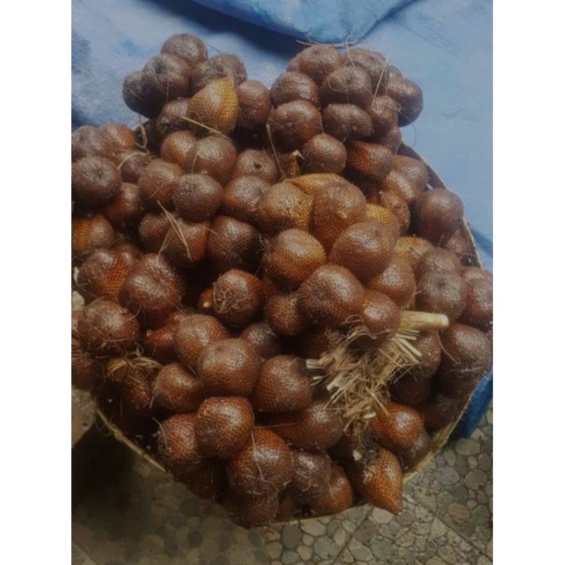 salak pondoh turi sleman jogja 1 kg