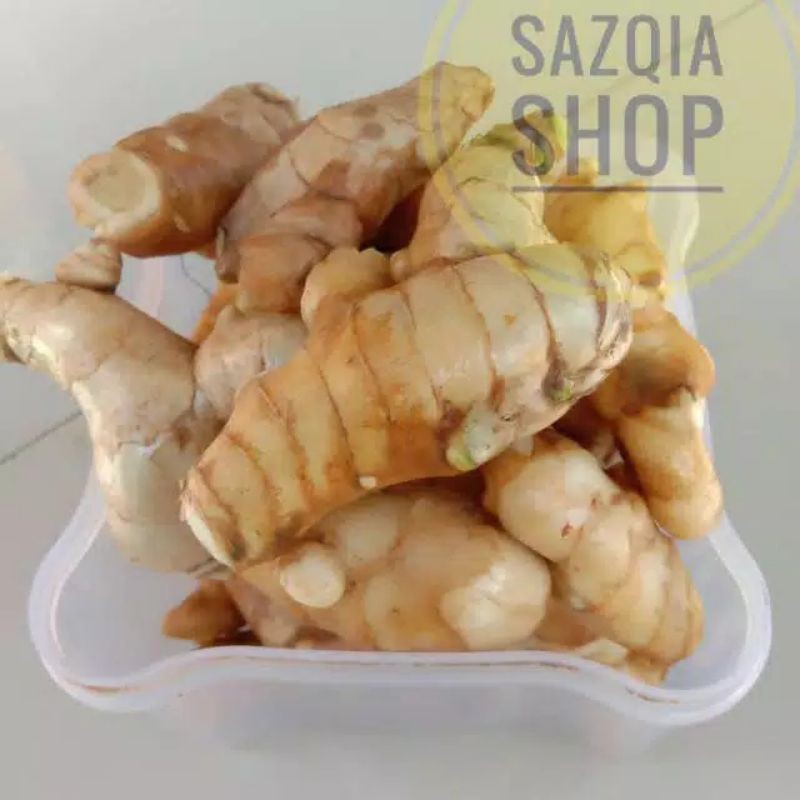 

Kunyit Putih Segar Herbal 1000gr