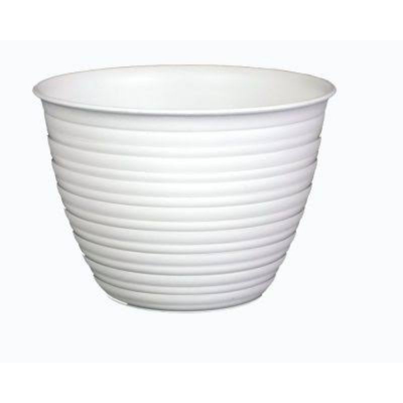 Pot bunga tawon putih