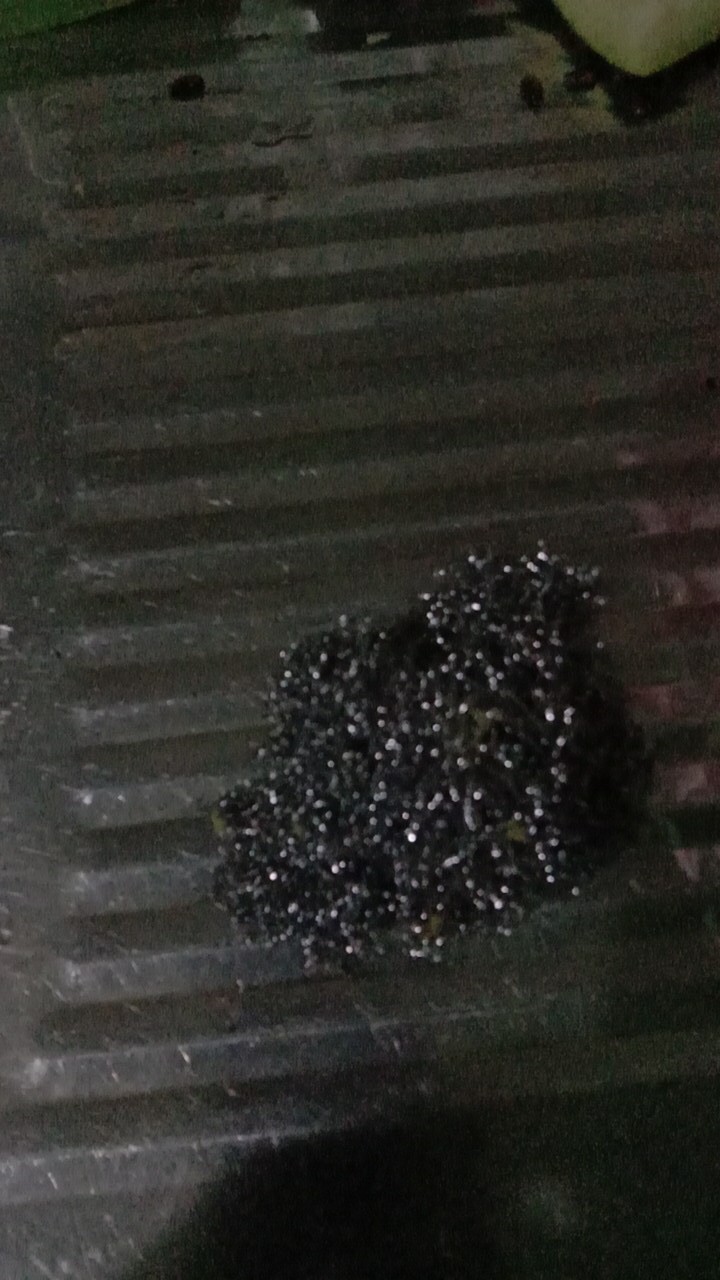 Gosok Panci Kitchen Cleaner Honaga T50 New Original Diameter 7cm Per Lusin