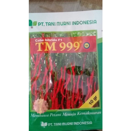 Cabe merah TM 999