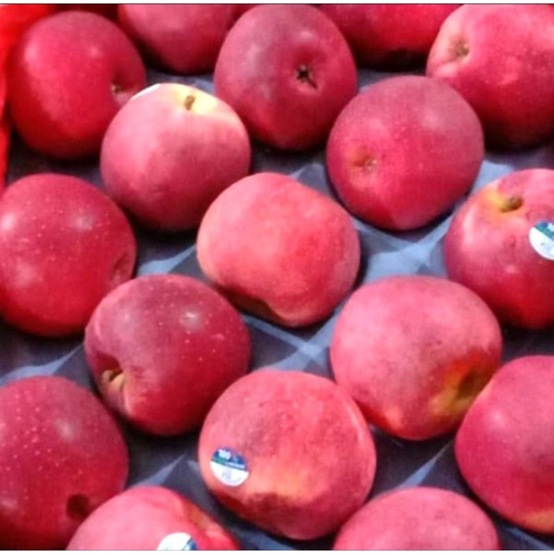 

APEL DAZEL FRESH IMPORT