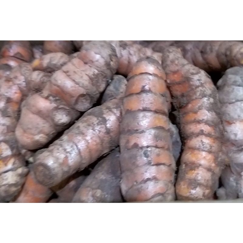 

KUNYIT 250 GRAM