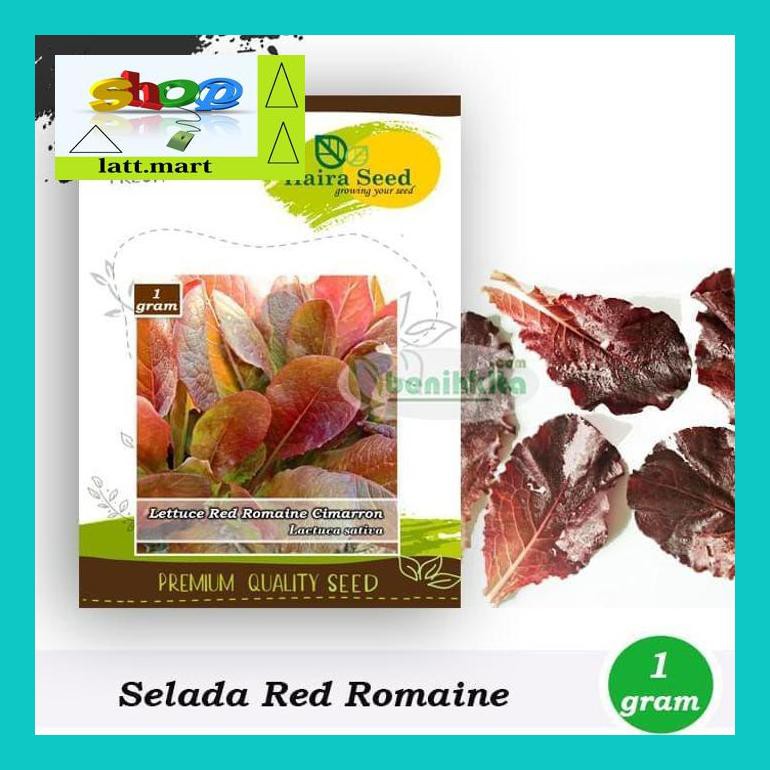 

Yu04Yts Benih-Bibit Selada Red Romaine Cimarron (Haira Seed) Yul0F40Ul