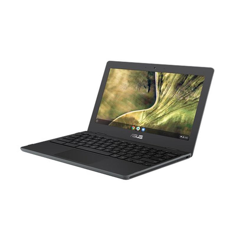 NOTEBOOK ASUS CHROMEBOOK E204MA INTEL CEL DC N4000