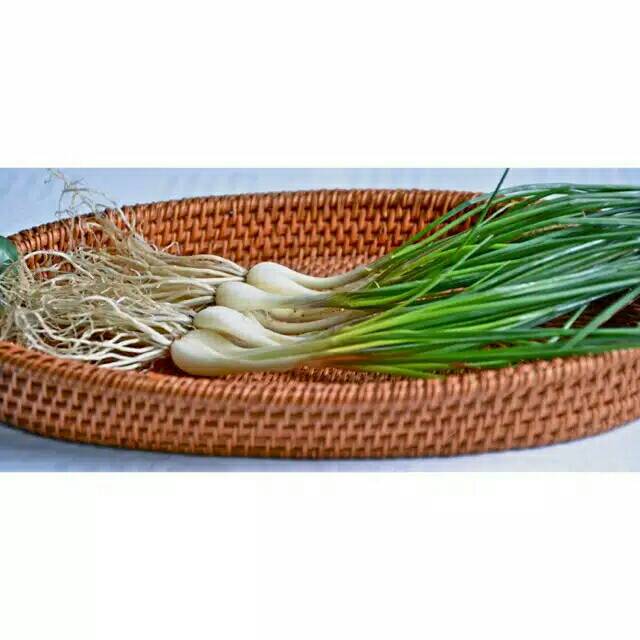 

❤ SEMBAKO MURAH ❤ Lokio / Bawang Batak Daun kecil Bumbu Masakan Pelengkap Arsik (Kemasan 1 ikat)