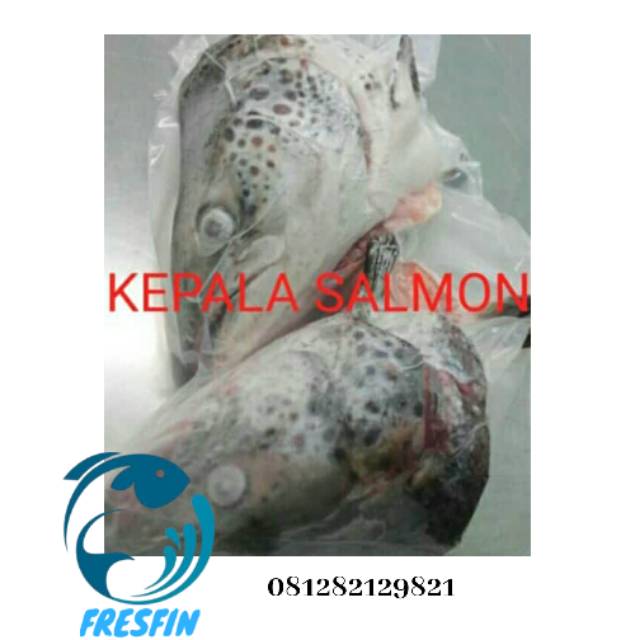 

Kepala salmon segar