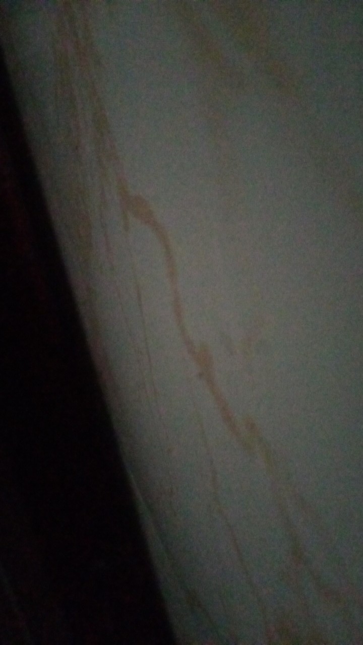 Toples Plastik 1,5 Liter Motif Buah Lucu Murah - Susan