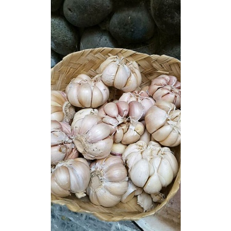 Bawang Putih Honan 1kg