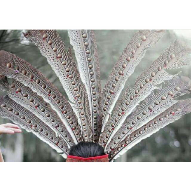 Bulu Burung Ruai Asli Panjang 70 80 Cm Shopee Indonesia