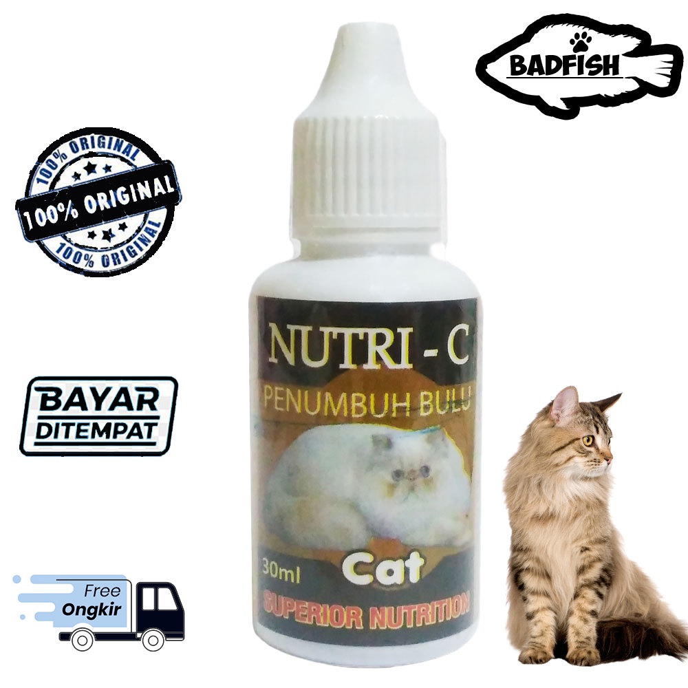 NUTRI C OBAT PENUMBUH BULU RONTOK KUCING ANGGORA PERSIA