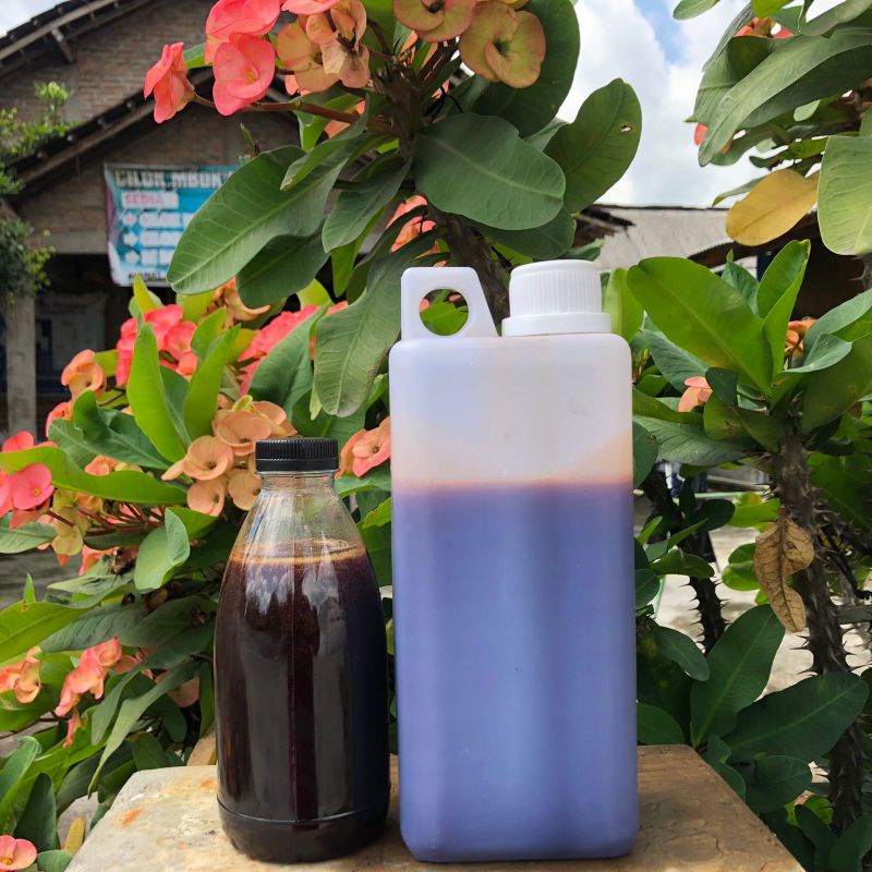 

Madu murni
